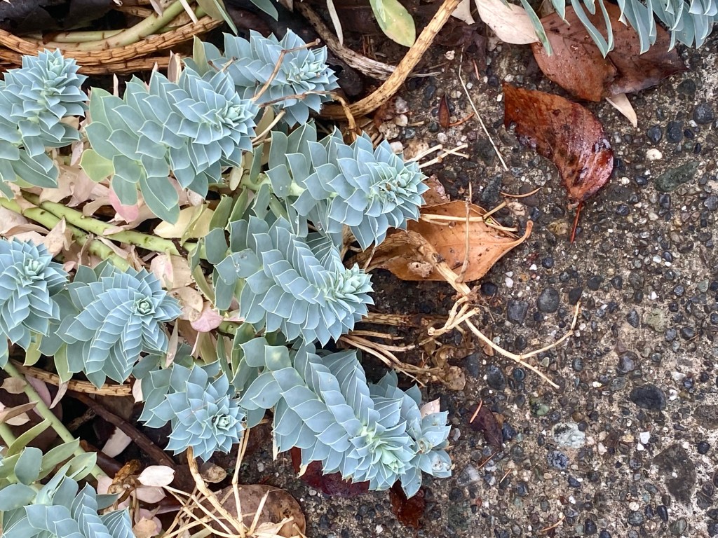 Reminder to Self that Dads Can be Tired,&nbsp;Too