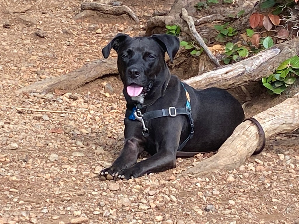 Life Hack – Live Like you Don’t Want to Kill Anyone *Before* you Kill&nbsp;Someone