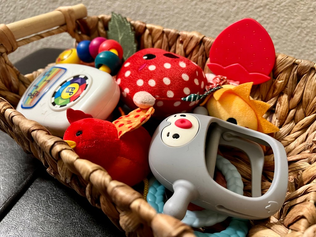 My Genius Son’s Favorite Toys at Ten&nbsp;Months