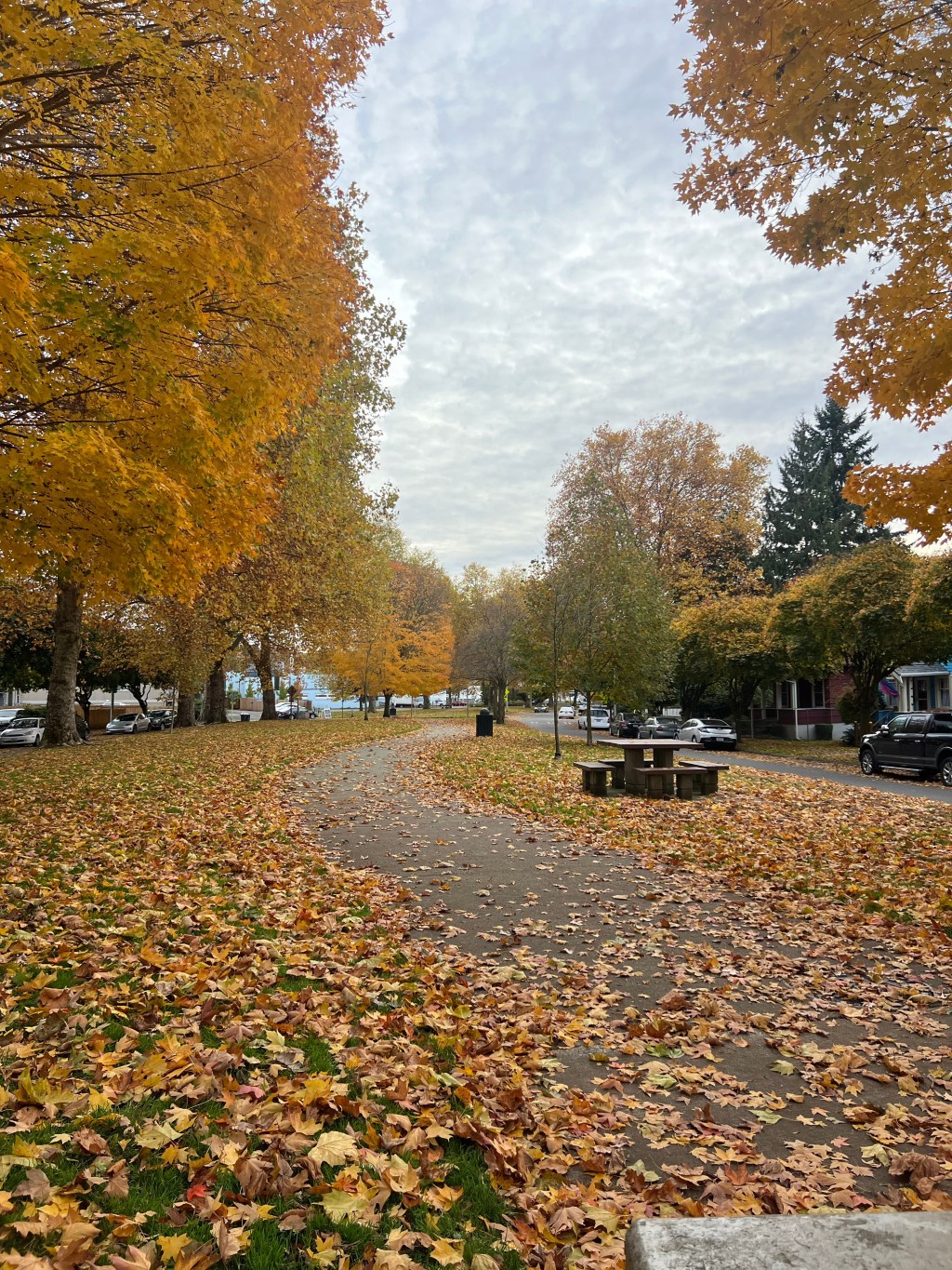 Tuesday ✨Manifesting✨